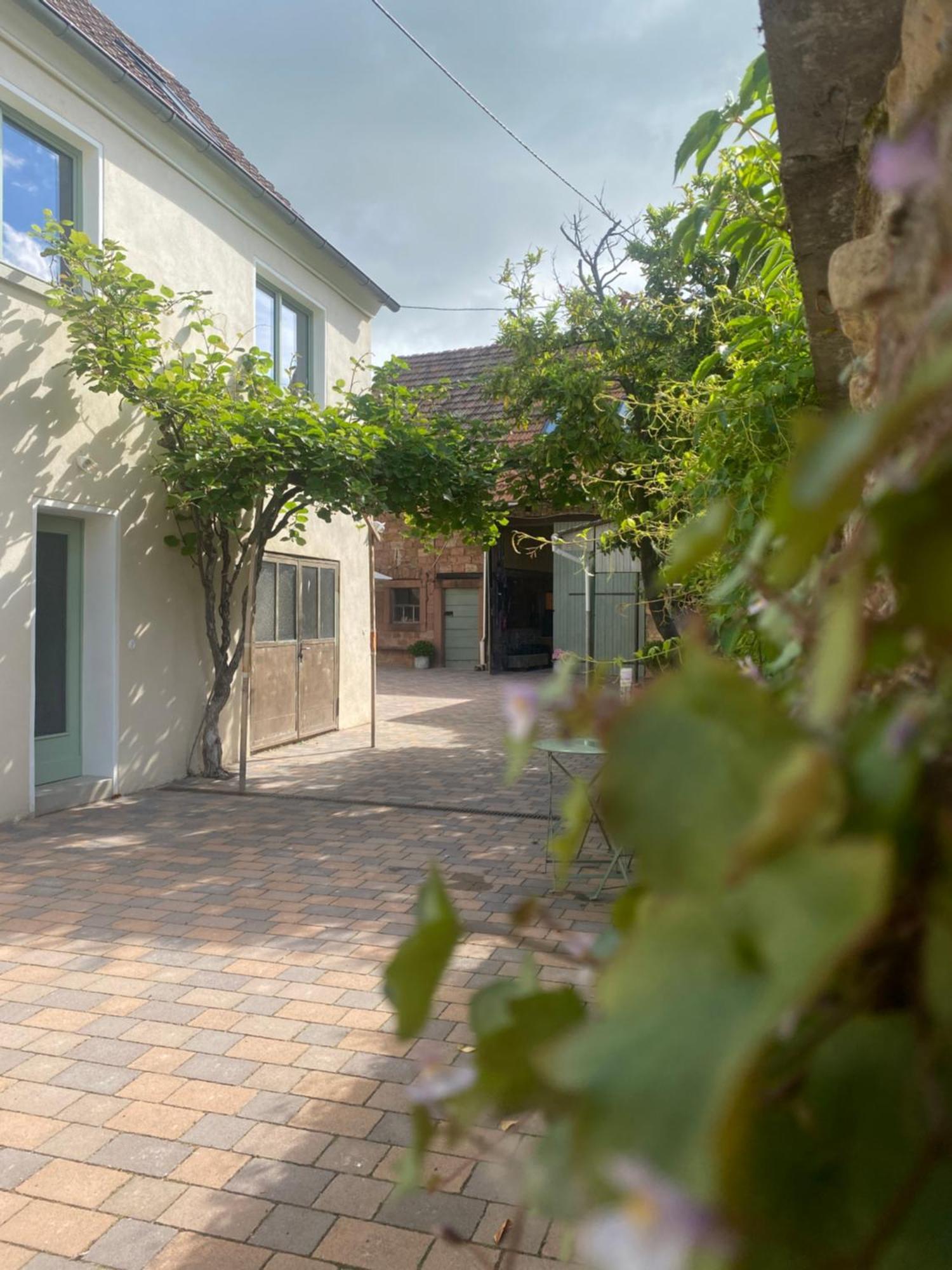 Zum Schockelgaul Gaestehaus Forst an der Weinstrasse エクステリア 写真