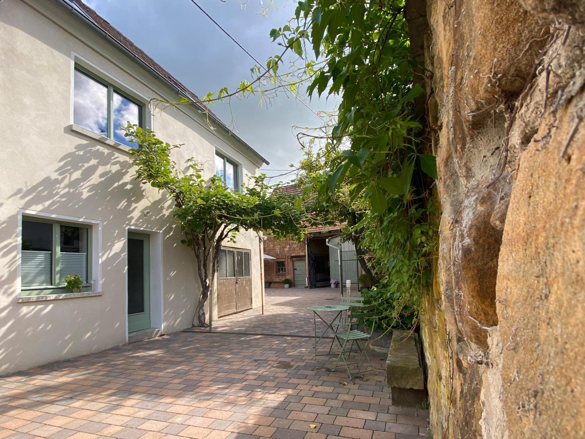 Zum Schockelgaul Gaestehaus Forst an der Weinstrasse エクステリア 写真